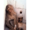 Monos con expresiones 12