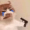 Gatitos cura depresión😻😾🙀😸 11