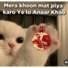 Funny quotes 🤠 6