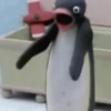 PINGU MEMS 5