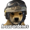 Perritos tácticos 🔥 6