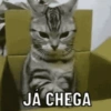 Que xou da xuxa é esse? 9