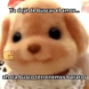 Ya dejé de buscar el amor... G ahora busco terrenemos baratos @Guarromantico