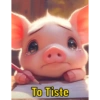 Porquinho fofinho  9