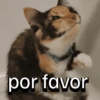 por favor