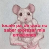 Solo Memes😌 20