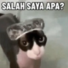 Kucing Anomali 5 6