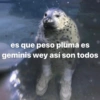 memesenlosgenes es que peso pluma es geminis wey así son todos