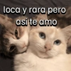 loca y rara pero asi te amo