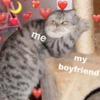 Love cats 17