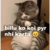 billu ko koi pyr nhi karta