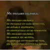 Frases de tik tok pt.1 3