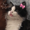 Cute stickers 5