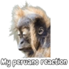 Q miras prro? 8