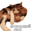 no TE DA FRIO? Sin mi