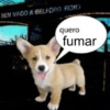 BEM VINDO A BELFORD ROXO quero fumar