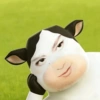 Sapi tiktok filter cow 🐮 10