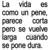 🚨🔥Frases 🤣🚨 7