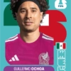 🧿 Laminas Seleccion México 🇲🇽 14