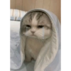SAD CATT😿😿😭 14