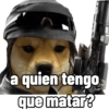 Perritos tácticos 🔥 19