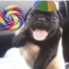 Memes do Tiktok 29