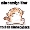Gatos cantadas 14