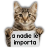 a nadie le importa
