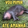 MOO DENG MEMES 🦛 7