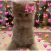 Cute stickers 9