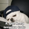 🧿 Para tu chat usalos😎😋 12