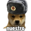 Perritos tácticos 🔥 20