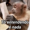 Tô entendendo é nada