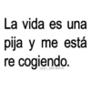 🚨🔥Frases 🤣🚨 5
