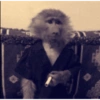 Bebé  8