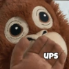UPS