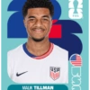 Cromos Seleção dos EUA 🇺🇸 5
