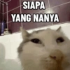 Kucing Anomali 5 13