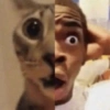 JAJA 5