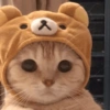 Gatitos Random 🤩 9