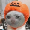 Memes de Halloween 16