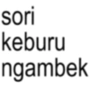 Anomali stres 11