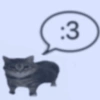 Dilo con gatos 25