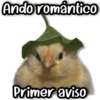 Ando romántico Primer aviso