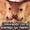 Conviviendo con el enemigo (yo mismo)