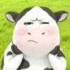 SAPI TIKTOK FILTER COW🐮 7