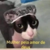 Novo ano novo stikitos 7
