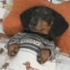 Oi posso fala 10