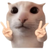 Meme Kucing Imut #4 9