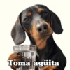 🧿 Para tu chat usalos😎😋 13